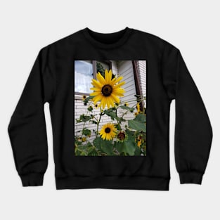 Summer sunflowers Crewneck Sweatshirt